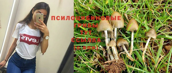 синтетический гашиш Михайловск