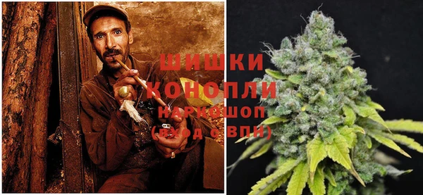 кокс Михайлов