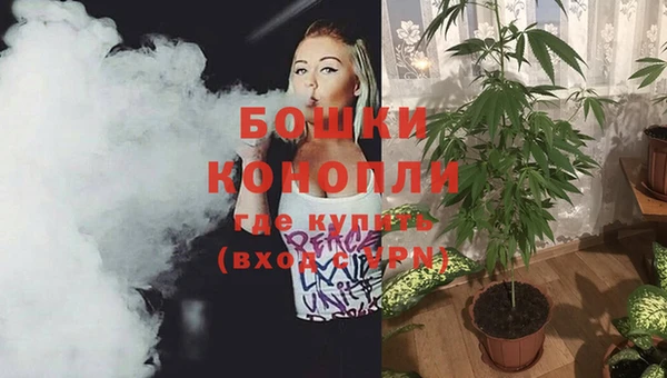 кокс Михайлов