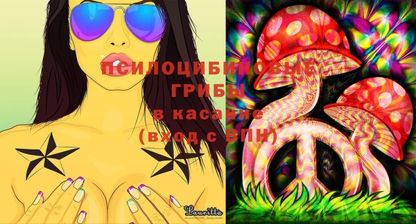 кокс Михайлов