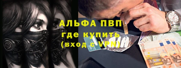 кокс Михайлов