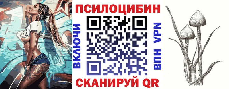 Купить закладки  Микунь  Галлюциногенные грибы Psilocybine cubensis 